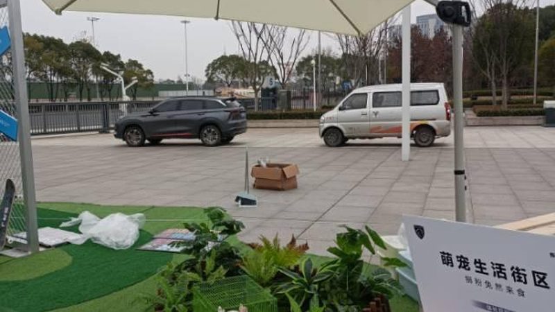 小型会展公司推荐